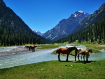 1644972813_57-fikiwiki-com-p-kartinki-kirgizstan-59.jpg 1644972813_57-fikiwiki-com-p-kartinki-kirgizstan-59.jpg